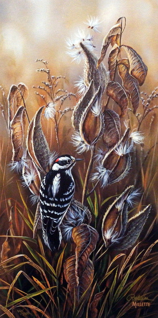Rosemary Millette Downy Woodpecker with Milkweed