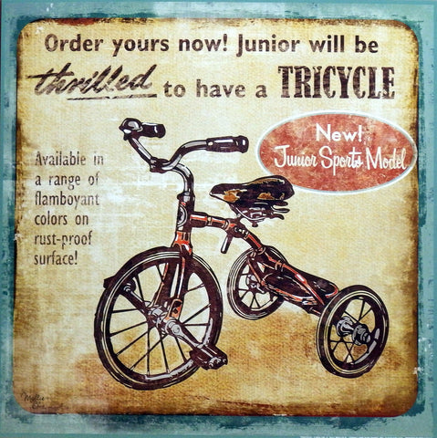 Mollie B Tricycle