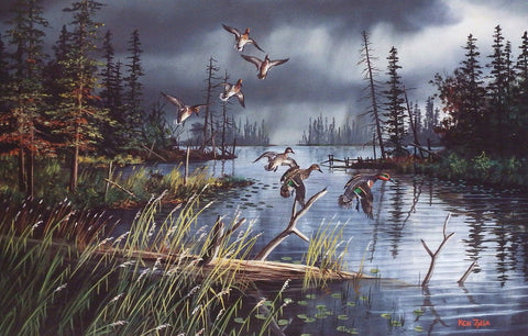 Ken Zylla Come Rain or Shine Duck Print