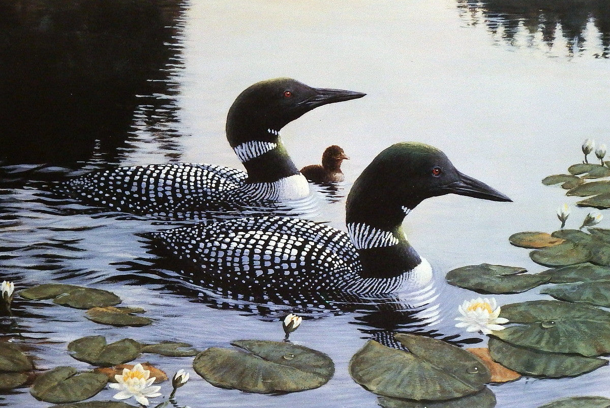 Derk Hansen Royal Regatta Loon Print