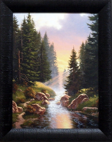 Derk Hansen Half of Paradise Stream Forest Print-Framed