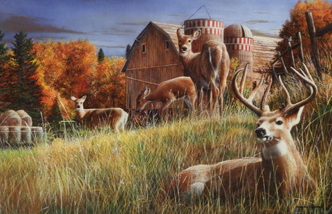 Kevin Daniel Autumn Respite S/N AP Deer Buck Print