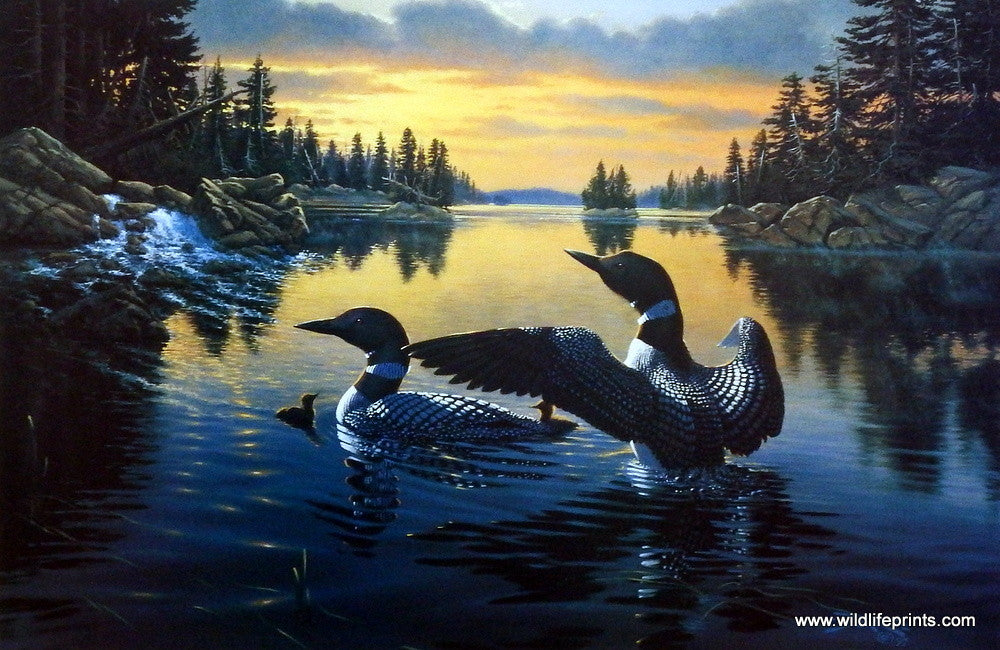 Derk Hansen Dawn's Early Light