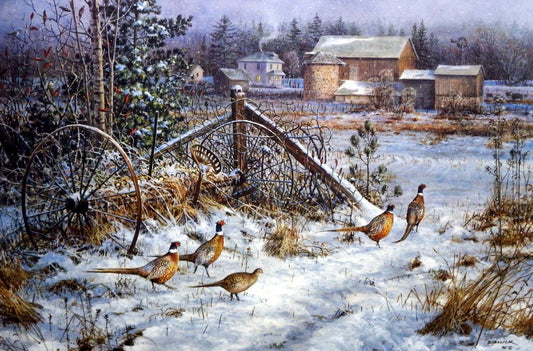 Scott Zoellick Heartland Heritage