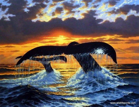 Derk Hansen Deep Water Nomads