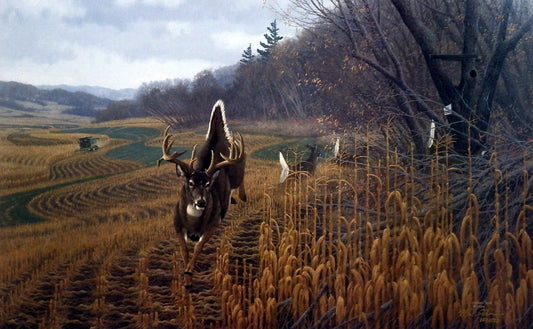 Michael Sieve Deer Country