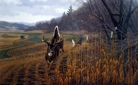 Michael Sieve Deer Country