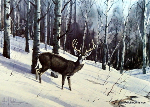 Les Kouba Deer