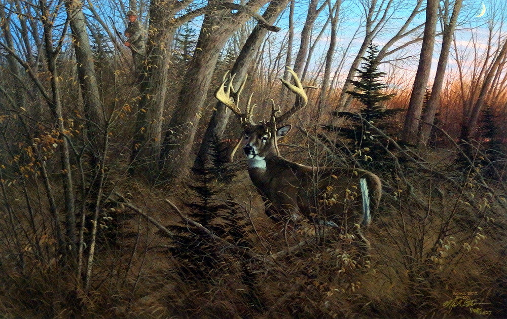 Michael Sieve Del Austin & Old Mossy Horns