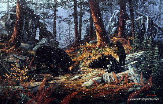 Ken Zylla Den Builders - 28"x18"- Signed and Numbered