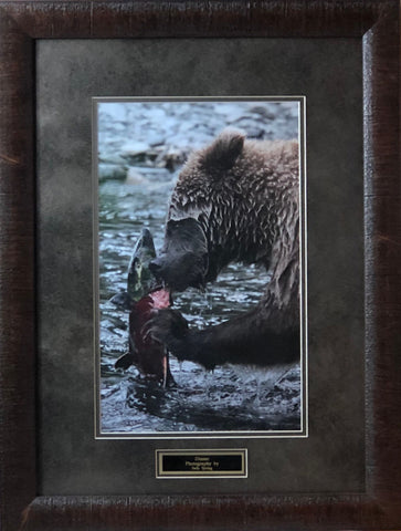 Judy Syring Dinner Grizzly Bear Photography Art Print-Framed 19 x 25
