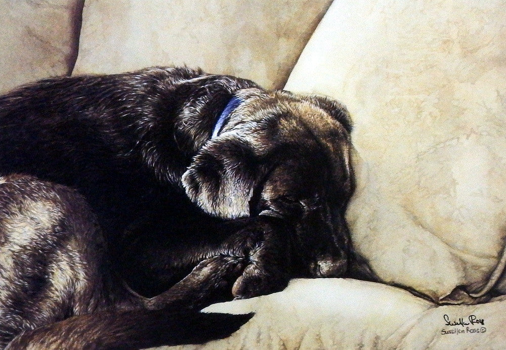 Sueellen Ross Dog Nap