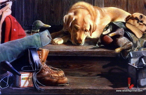 Kevin Daniel Dog Tired I