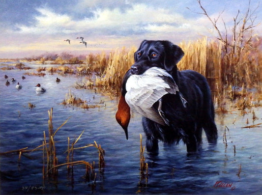 James Killen Dogs In Action