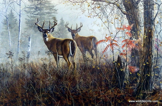Jim Hansel Double Vision