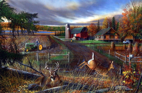 Kevin Daniel Dream Farm