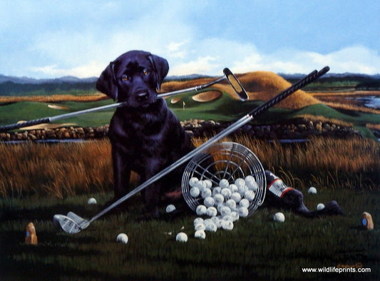 Phillip Crowe Drive for Show, Putt for Dough