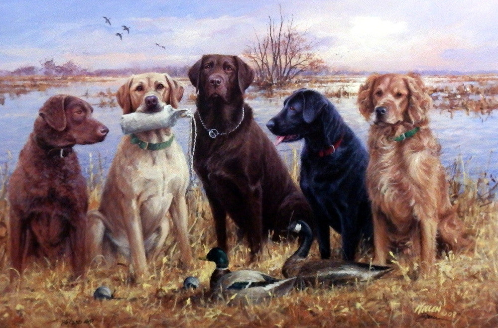 James Killen Duck Masters