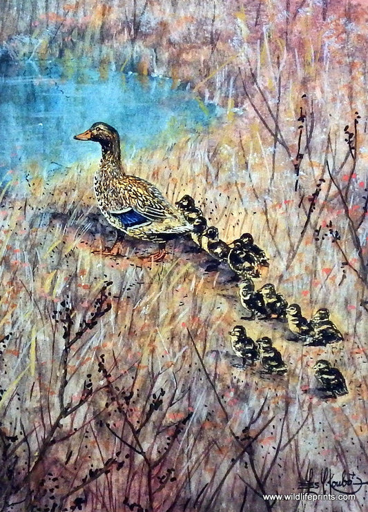 Les Kouba Duck Stroll