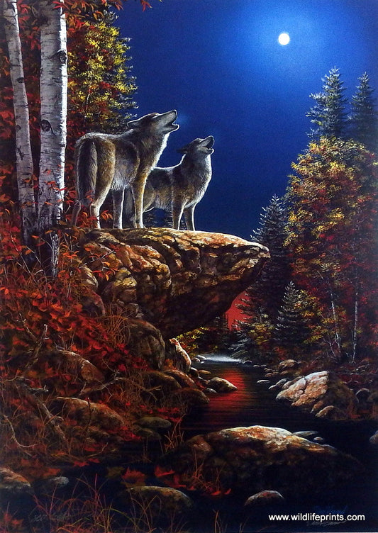 Jim Hansel Duet