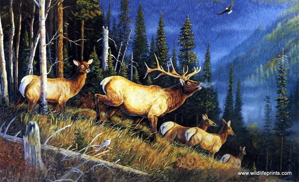 Terry Doughty Eagle Mountain Buglar