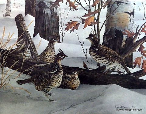 Kevin Daniel Early Winter Covey