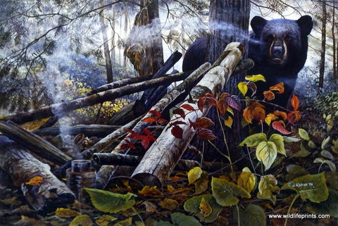Chris Kuehn Black Bear Picture