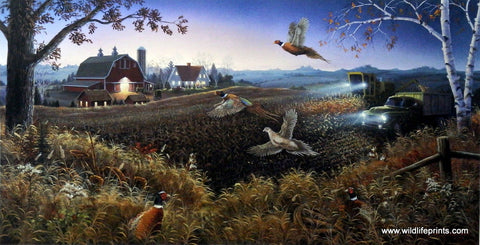 Mark Daehlin Evening Harvest