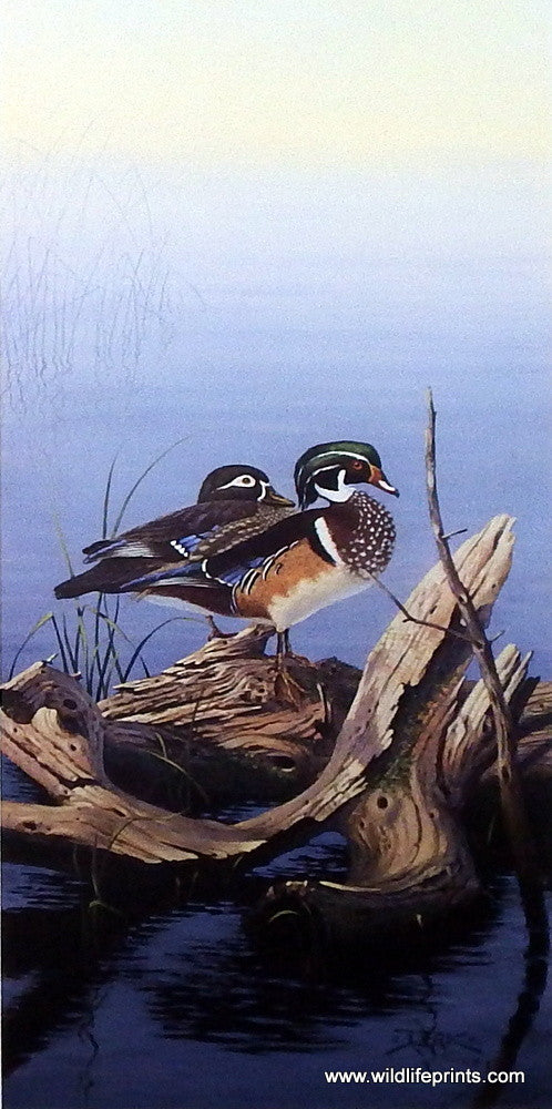 Derk Hansen Evening Splendor