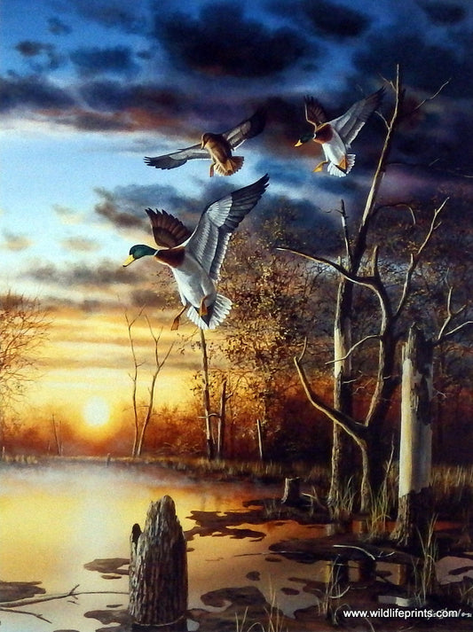 Jim Hansel Evening Splendor