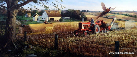 Charles Freitag Pheasant Print International Harvester Tractor Corn Field