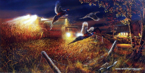 Jim Hansel Field Of Dreams