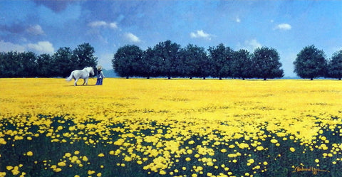 Richard Luce Field of Miracles