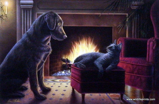 Kim Norlien Fireside Chat