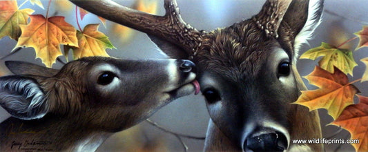 Jerry Gadamus First Kiss