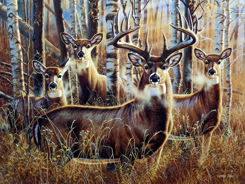 Cynthie Fisher Deer Picture SUDDEN ENCOUNTERS