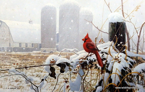 Michael Budden Flaming Glory - 20"x13"- Signed and Numbered