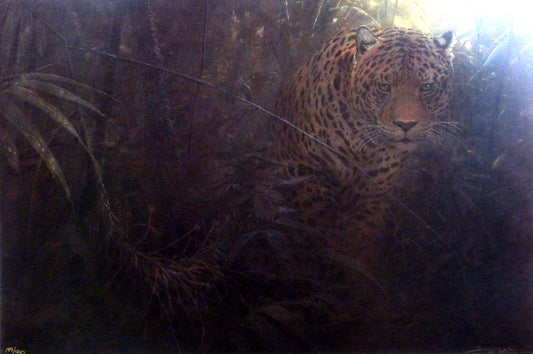 John Seerey-Lester Forest Glow