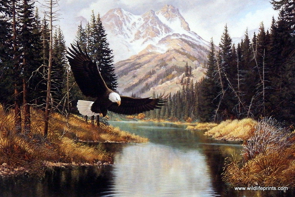 Derk Hansen Freedom