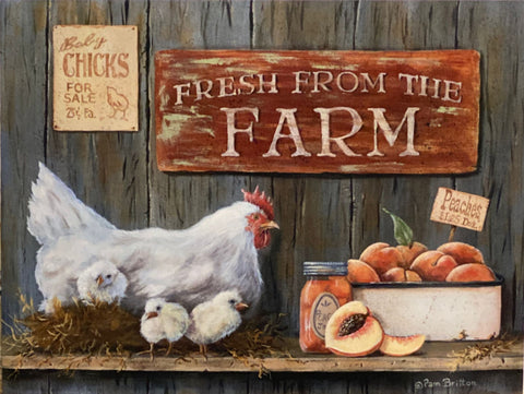 Pam Britton Fresh from the Farm Chicken Art Print-16 x 12