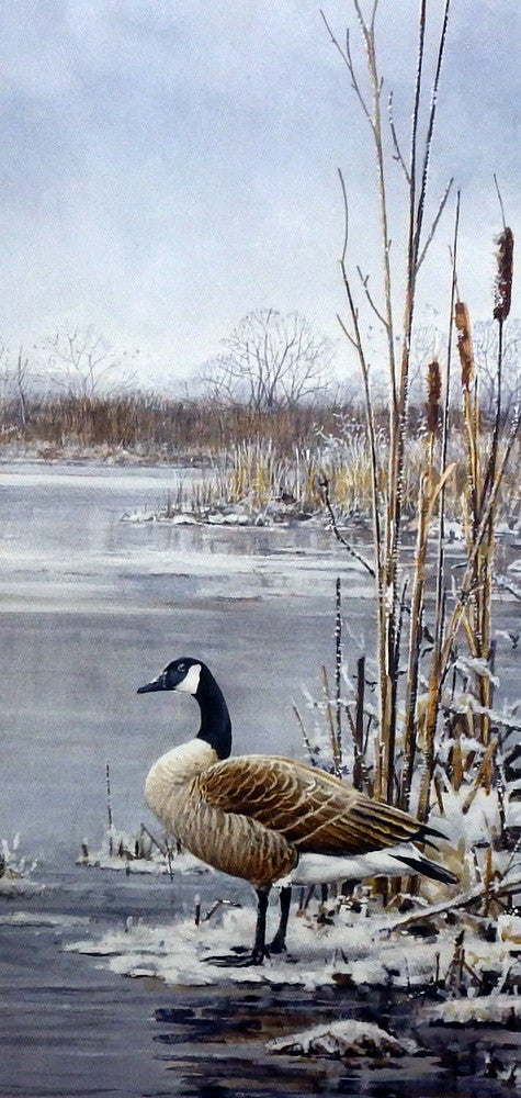 Scott Zoellick Frosty Morning Gander