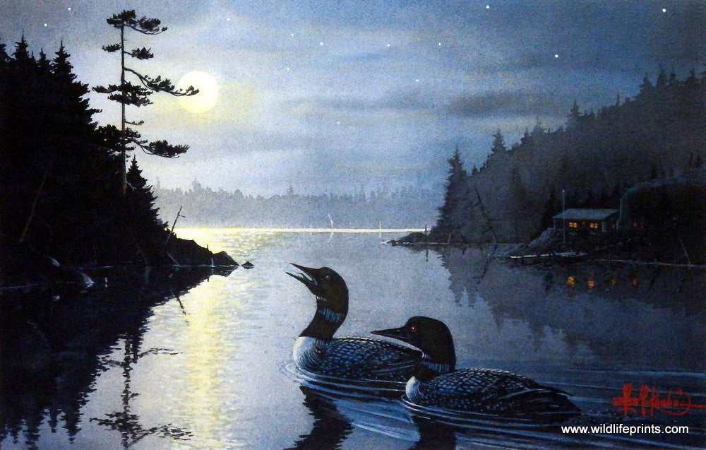 Les Kouba Full Moon's Guests
