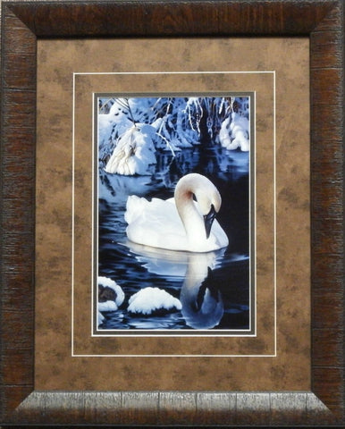 Jerry Gadamus Winter Reflections-Framed