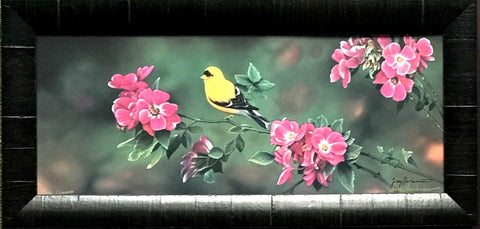 Jerry Gadamus The Color of Gold S/N Bird Art Print-Framed