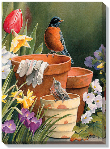 Susan Bourdet Garden Delights- Robins