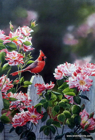 Susan Bourdet Garden Getaway- Cardinal