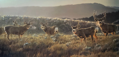 Nancy Glazier The Gathering Place Elk Mountain Art Print