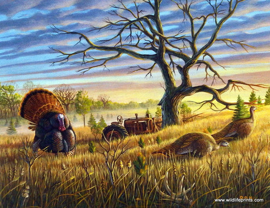 Ron Nelson Gobbler of the Lone Oak Meadow