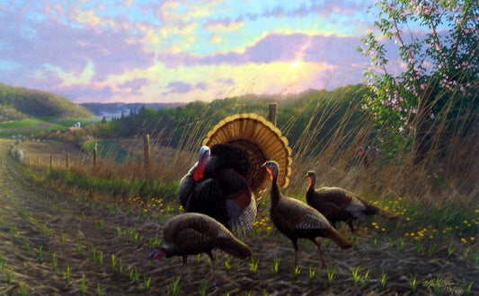 Michael Sieve Golden Fan Club- Wild Turkeys - 27.5"x17" Signed/Numbered