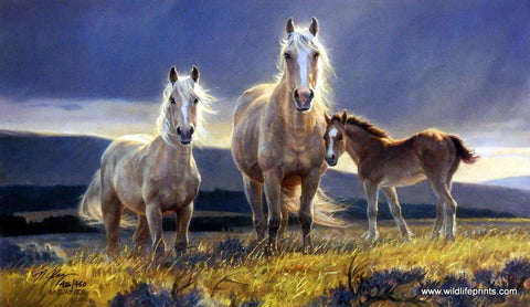 Nancy Glazier Golden Glory